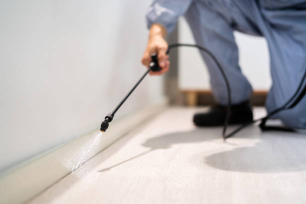 Licensed Termite Control service in Vinton, VA - Nex Pest Control
