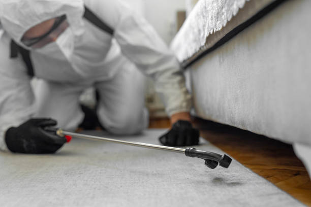 Professional Termite Control technician working in Vinton, VA